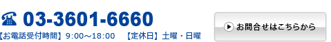 お問合せ　電話番号03-3601-6660